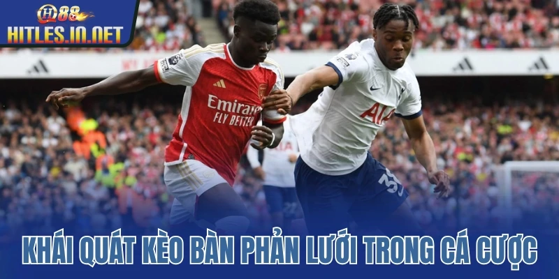Khái quát kèo bàn phản lưới trong cá cược