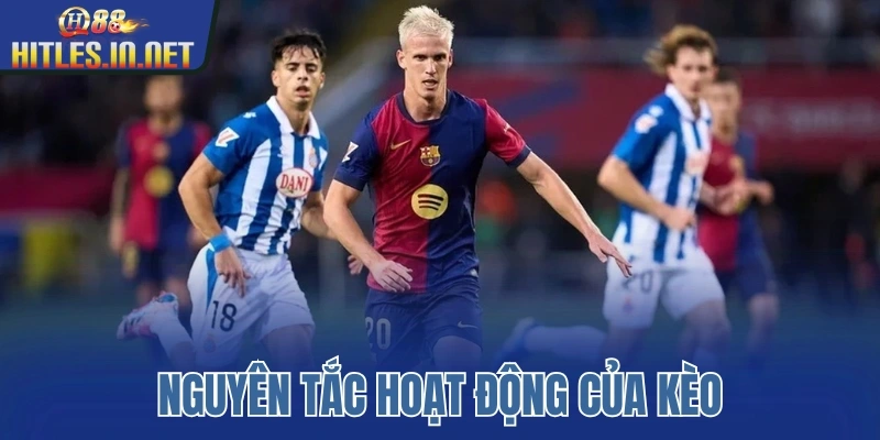 Nguyên tắc hoạt động của kèo Nguyên tắc hoạt động của kèo