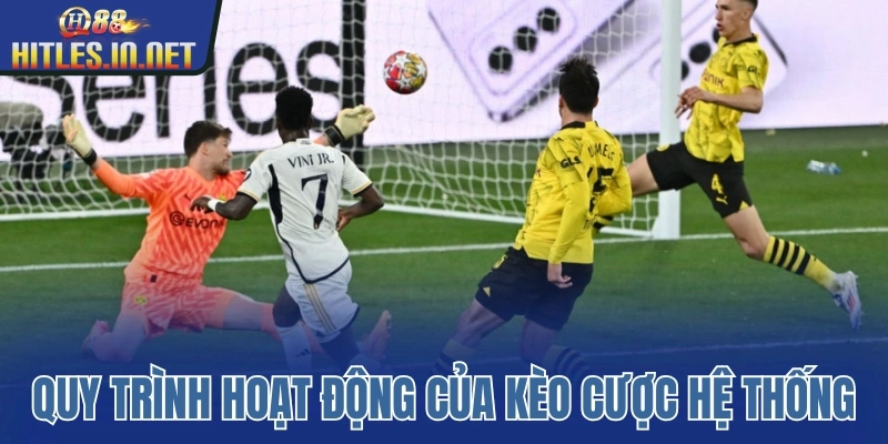 Quy trình hoạt động của kèo cược hệ thống