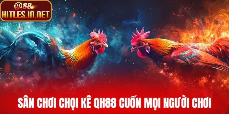 Sân chơi chọi kê QH88 cuốn mọi người chơi